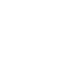Medusa Film